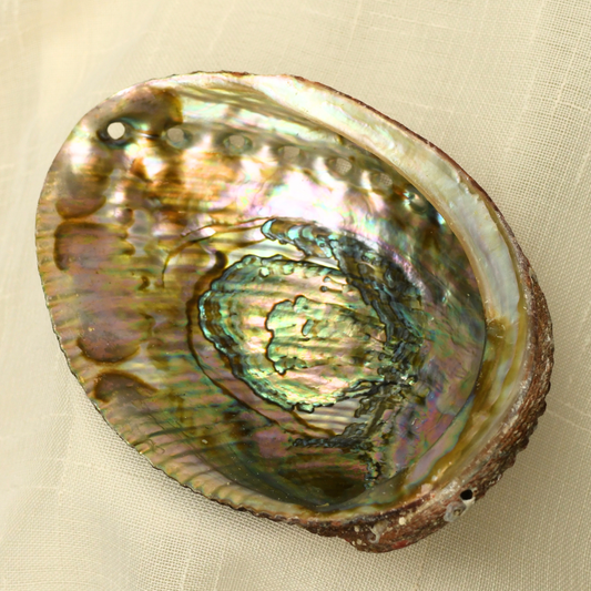 ABALONE SHELL | Cleansing Tray & Holder